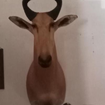 Sale Photo Thumbnail #97