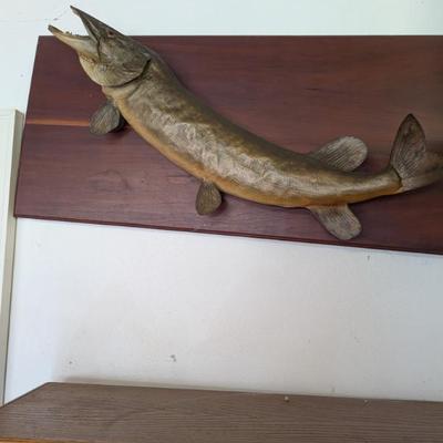 Sale Photo Thumbnail #98