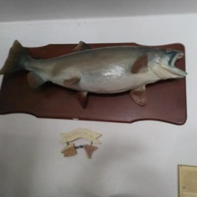 Sale Photo Thumbnail #100