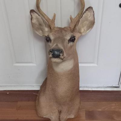 Sale Photo Thumbnail #99