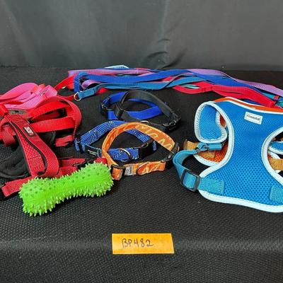 BP482 Time To Walk The Dog! 