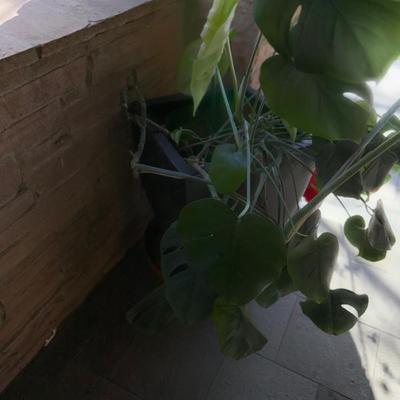 Sale Photo Thumbnail #160