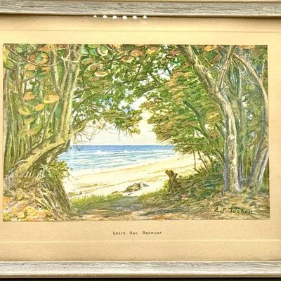 CF Tucker Grape Bay, Jamaica Print