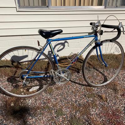 Vintage World Sport Schwinn Bike