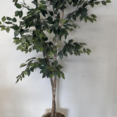 Sale Photo Thumbnail #73