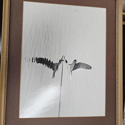 Sale Photo Thumbnail #69