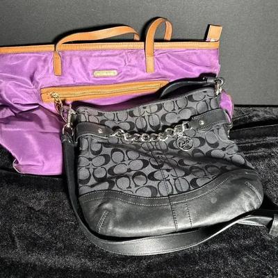 Michael Kors And Coach Bags