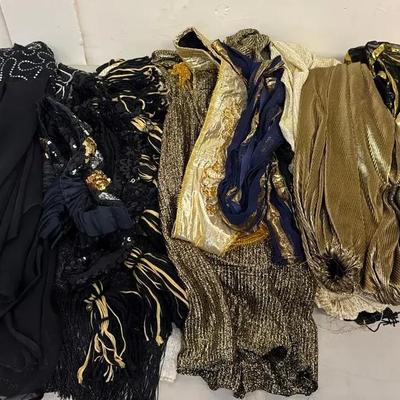 Belly Dancing Clothing #3