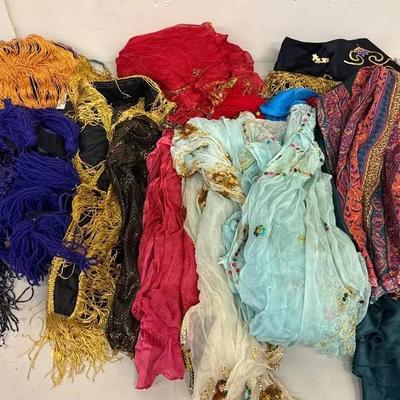 Belly Dancing Clothing #2