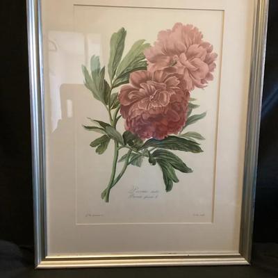 Double Peony Print 