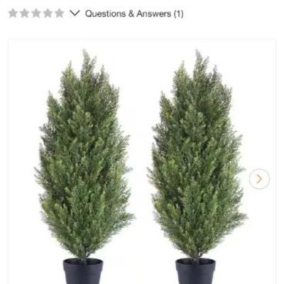 Sale Photo Thumbnail #542