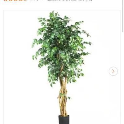 Sale Photo Thumbnail #527