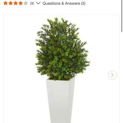 Sale Photo Thumbnail #534