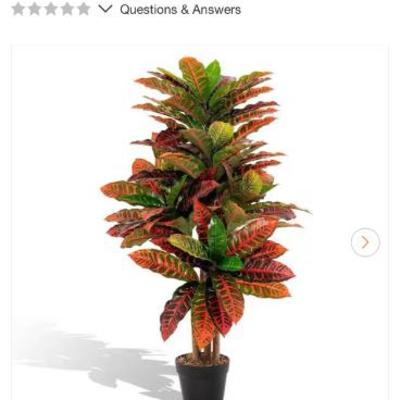 Sale Photo Thumbnail #525