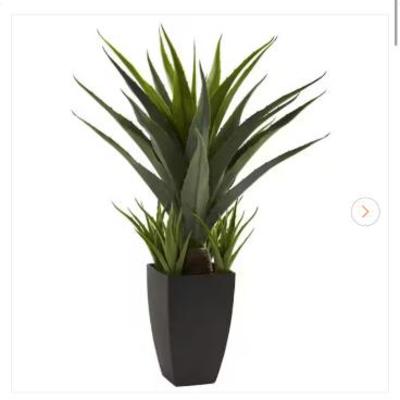 Sale Photo Thumbnail #533