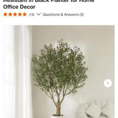 Sale Photo Thumbnail #539