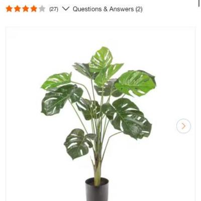 Sale Photo Thumbnail #532