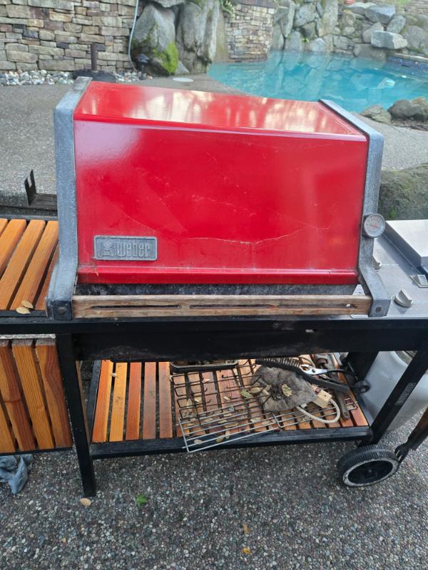 Sale Photo Thumbnail #34