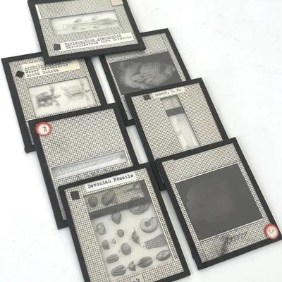 Vintage Lantern Slides (7) of Cretaceous, Devonian, Carboniferous Fossils