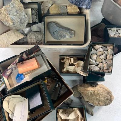 Fossil, Rock and Shell Collection