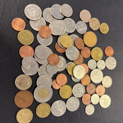 Foreign Coin Variety