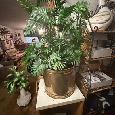 Sale Photo Thumbnail #146