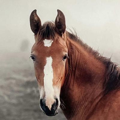 Sale Photo Thumbnail #227