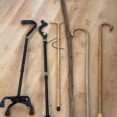 Canes & A Walking Stick