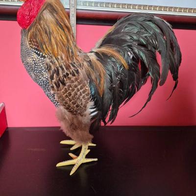 Sale Photo Thumbnail #538