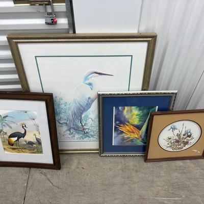 Group of Framed Bird and Floral Art Prints