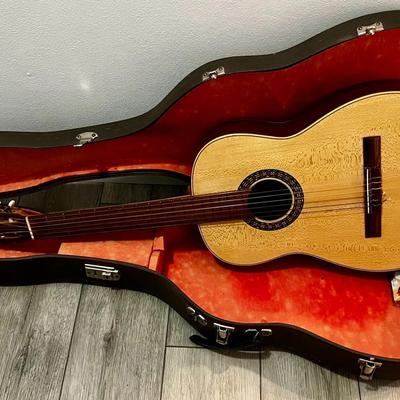 Guitar In Case With Tuner