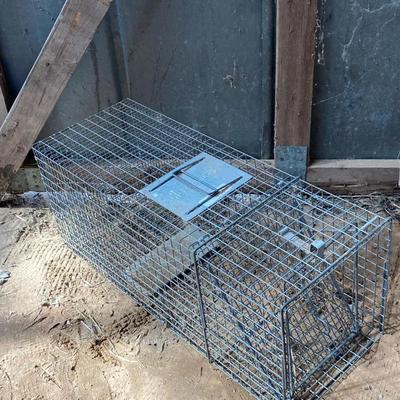 Safeguard Rodent Trap