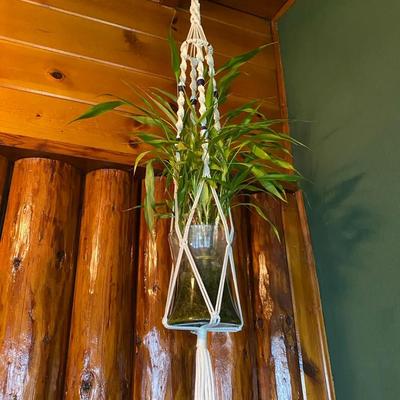 Macrame Hanger w/Plant