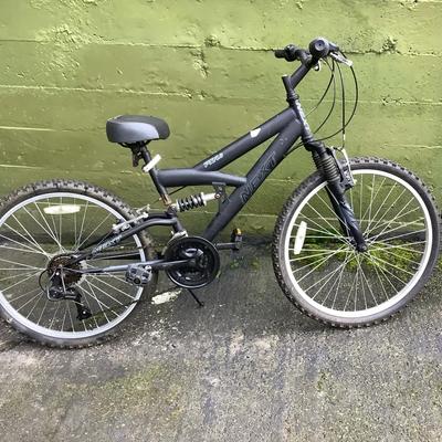 PX 4 NEXT Mountain Bike 