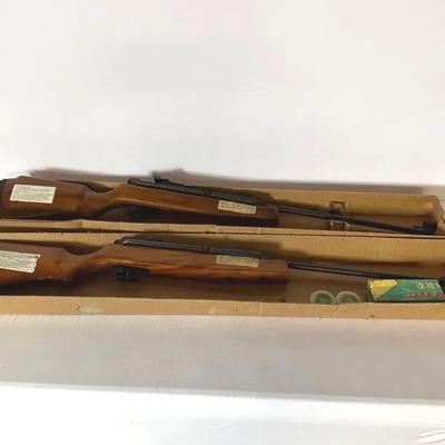 Two Air Rifles