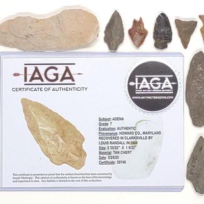 Sale Photo Thumbnail #405: 13 Arrowheads (2.75" Tan Chert Adena IAGA COA)