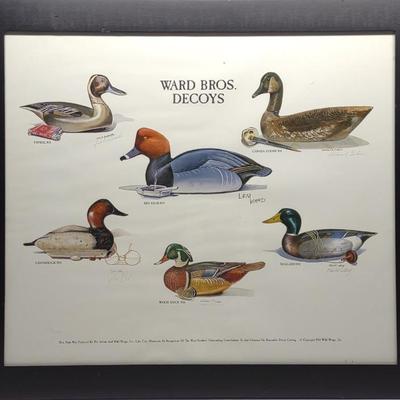 Sale Photo Thumbnail #375: Multi Carver Signed Ward Bros Decoys Duck Print