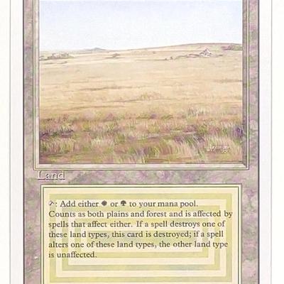 Sale Photo Thumbnail #95: Magic The Gathering Savannah Revised Edition Card