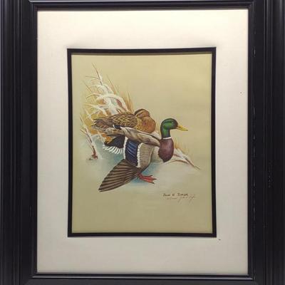 Sale Photo Thumbnail #390: John W. Taylor Pencil Signed Duck Art Print