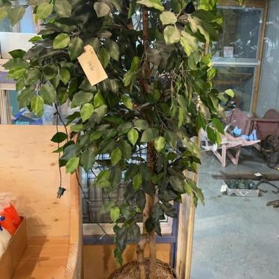 Sale Photo Thumbnail #293