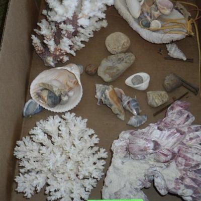 Sale Photo Thumbnail #296