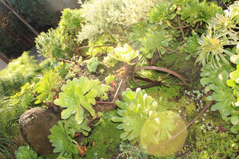 Sale Photo Thumbnail #331