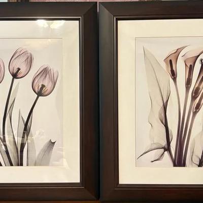 Stunning Albert Koetsier "Translucent Tulips in Mocha" Framed Canvas Prints 