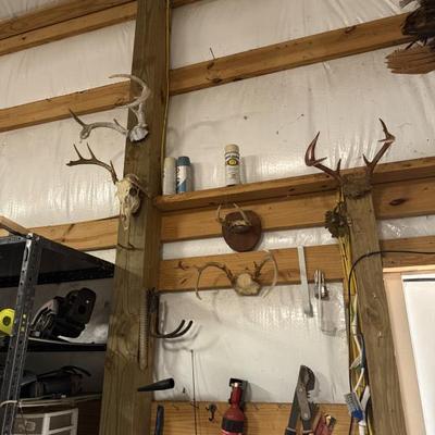 Sale Photo Thumbnail #6