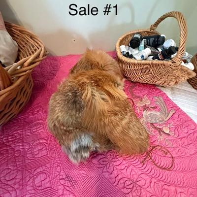 Sale Photo Thumbnail #23