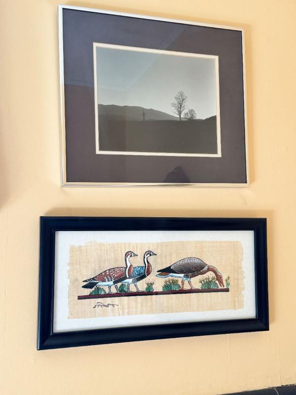 Sale Photo Thumbnail #19