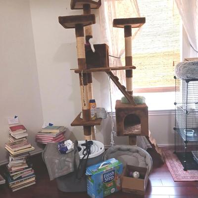 Cat Tree and Supplies 