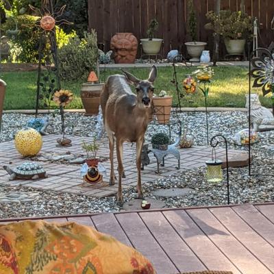 Sale Photo Thumbnail #32