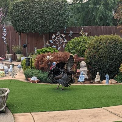 Sale Photo Thumbnail #34