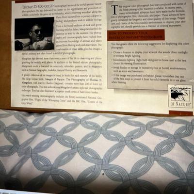 Out Of the Mist Thomas Mengelsen Signed Framed Print 